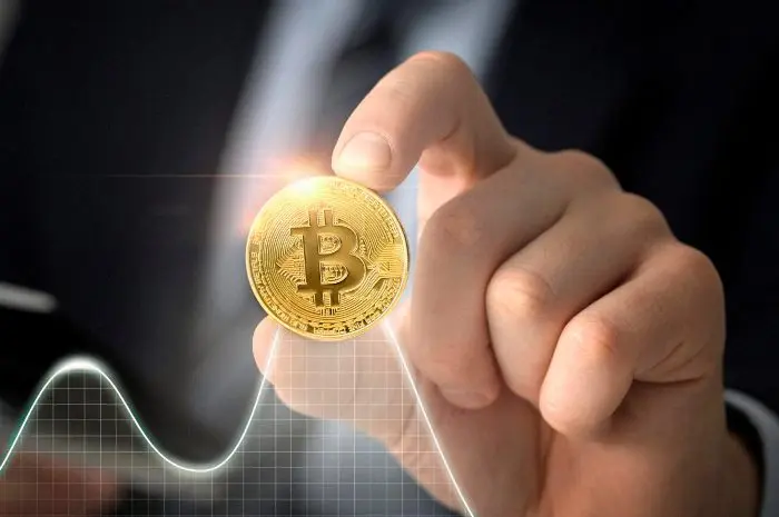 Peluang Investasi di Pasar Cryptocurrency