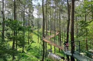 Destinasi Wisata Alam di Bandung yang Menawarkan Pemandangan Memukau