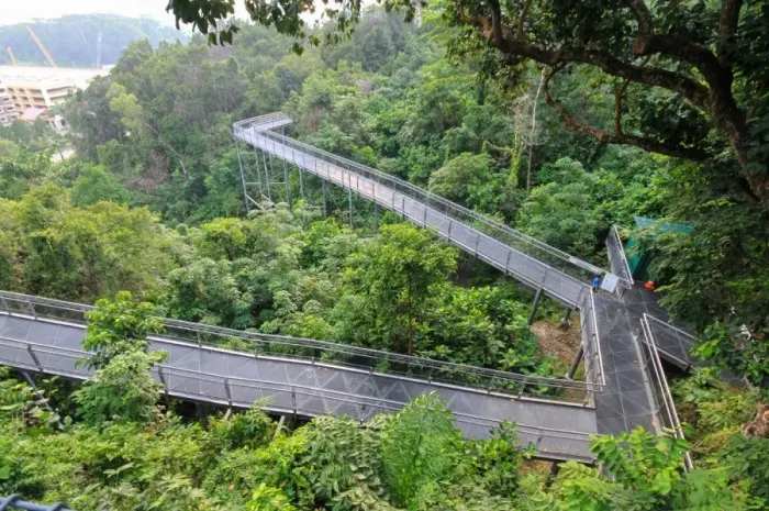 Tempat Wisata Alam di Singapura yang Menyatu dengan Kehidupan Kota Modern