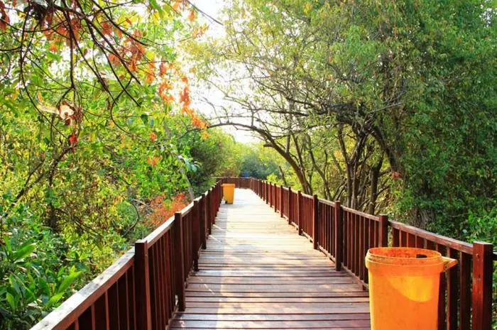 Wisata Alam di Surabaya yang Menawarkan Keindahan Alami Ditengah Kota