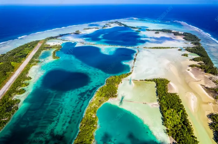 Fakta Menarik tentang Palmyra Atoll yang Kaya Biodiversitas