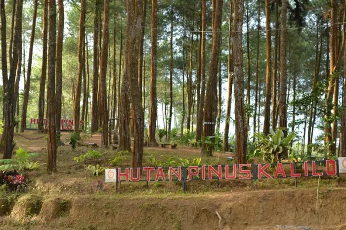 Tempat Wisata di Purworejo yang Siap Memberikan Pengalaman Liburan Seru